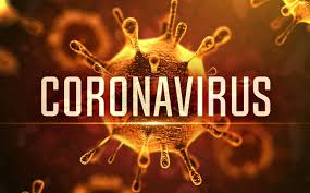 coronavirüsgümrükkodları.jpg